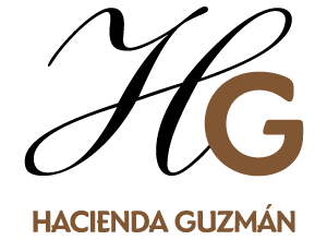  Hacienda Guzmán