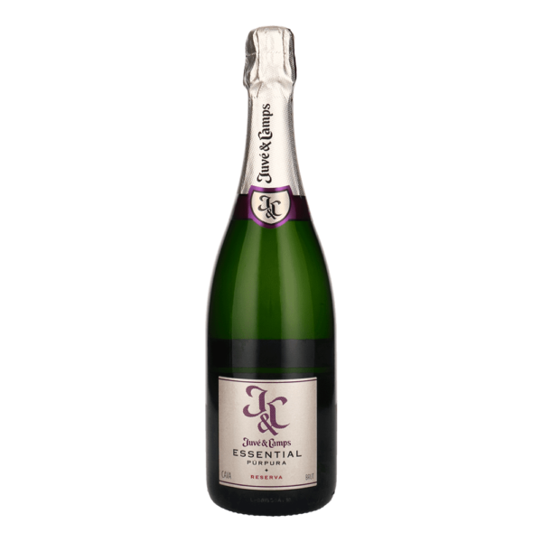 Juvé & Camps Brut Reserva Cinta Púrpura