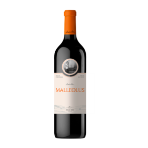 Malleolus