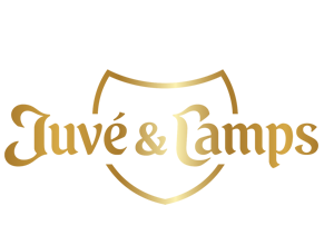 Juvé & Camps