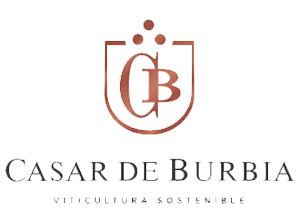 Casar de Burbia