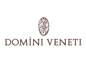 Domini Veneti