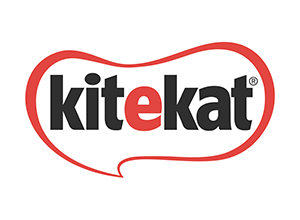 KiteKat